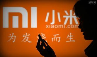 小米发布会最新爆料视频,颠覆性新品亮相，科技盛宴即将开启