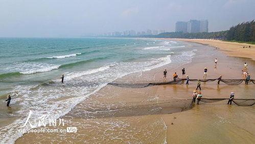 海南赶海爆料视频大全,揭秘海洋宝藏的奇妙之旅 第2张 海南赶海爆料视频大全,揭秘海洋宝藏的奇妙之旅 第2张